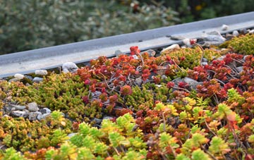 the cost of Hetherside green roof installation