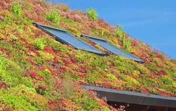Hetherside living roof systems